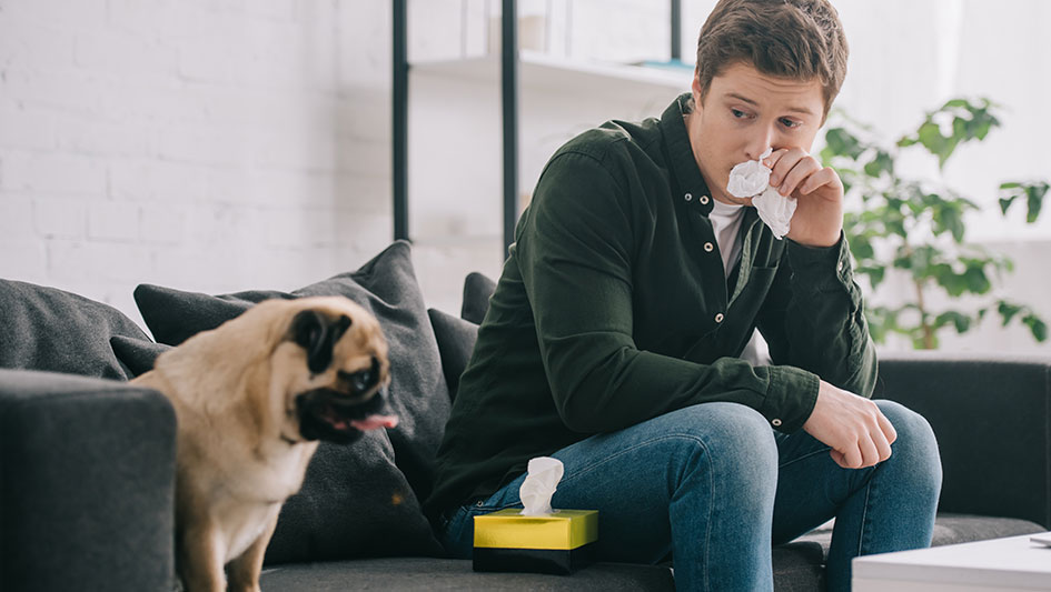 Purchasing an air purifier is one of the top methods to boost your residence’s indoor air quality. Discover more about the three smartest options. 