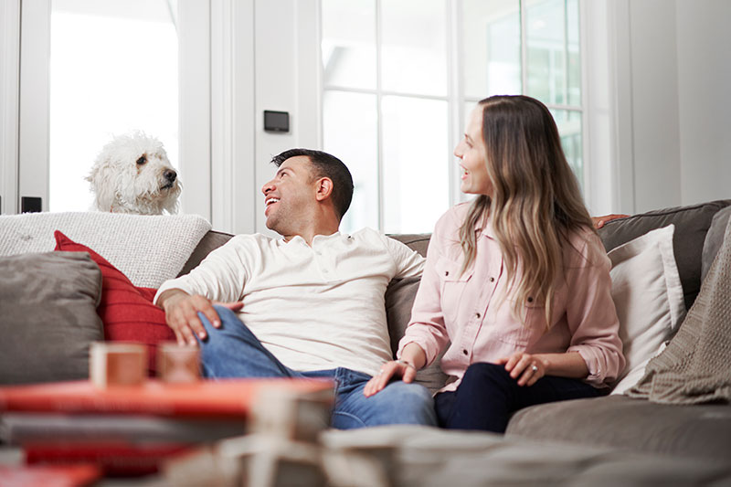 Solved!: Do Air Purifiers Relieve Allergies?